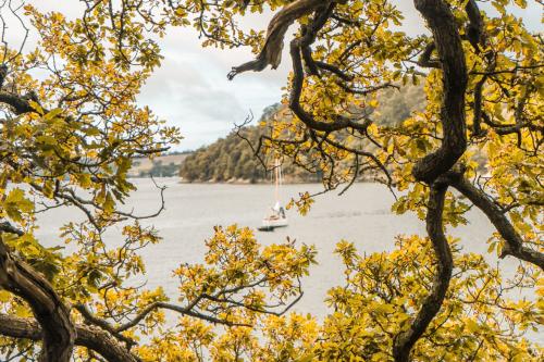 Autumn Vibes Arrive in Cornwall